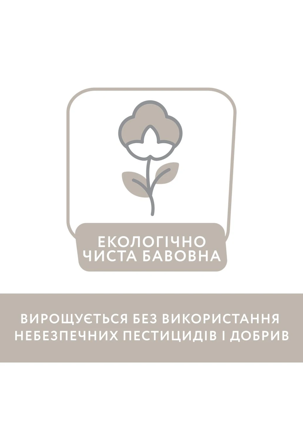 Труси (2 шт.) Fendi,, розмір (090.16669.091) Chicco (389093303)
