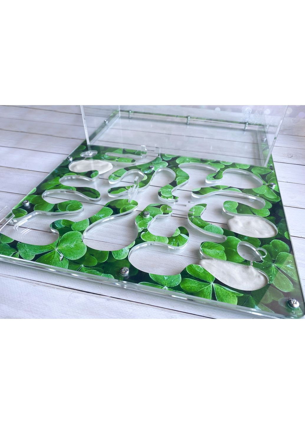 Формикарий (муравьиная ферма) 18х24 см Case (360704065)