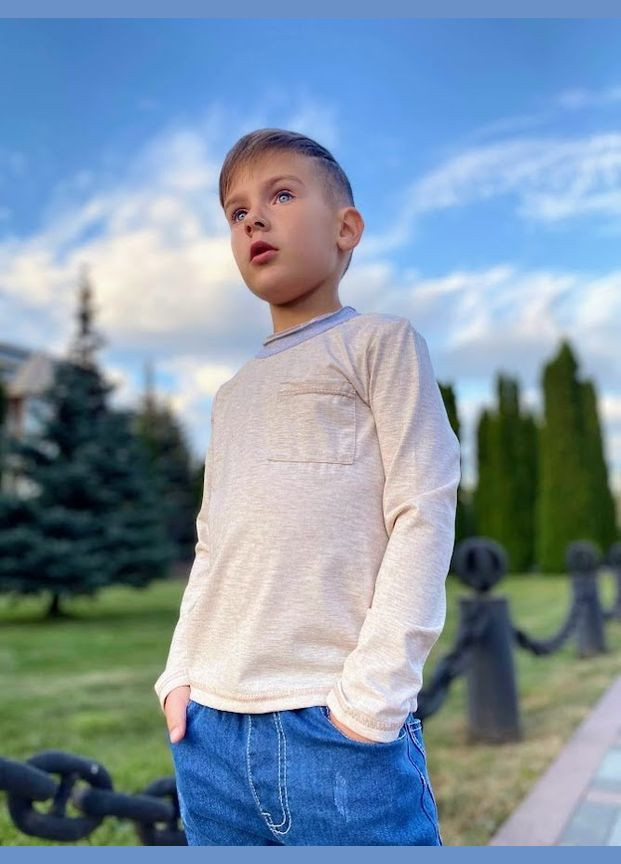 Коричневый демисезонный джемпер для мальчика hc (h001-6221-090) No Brand