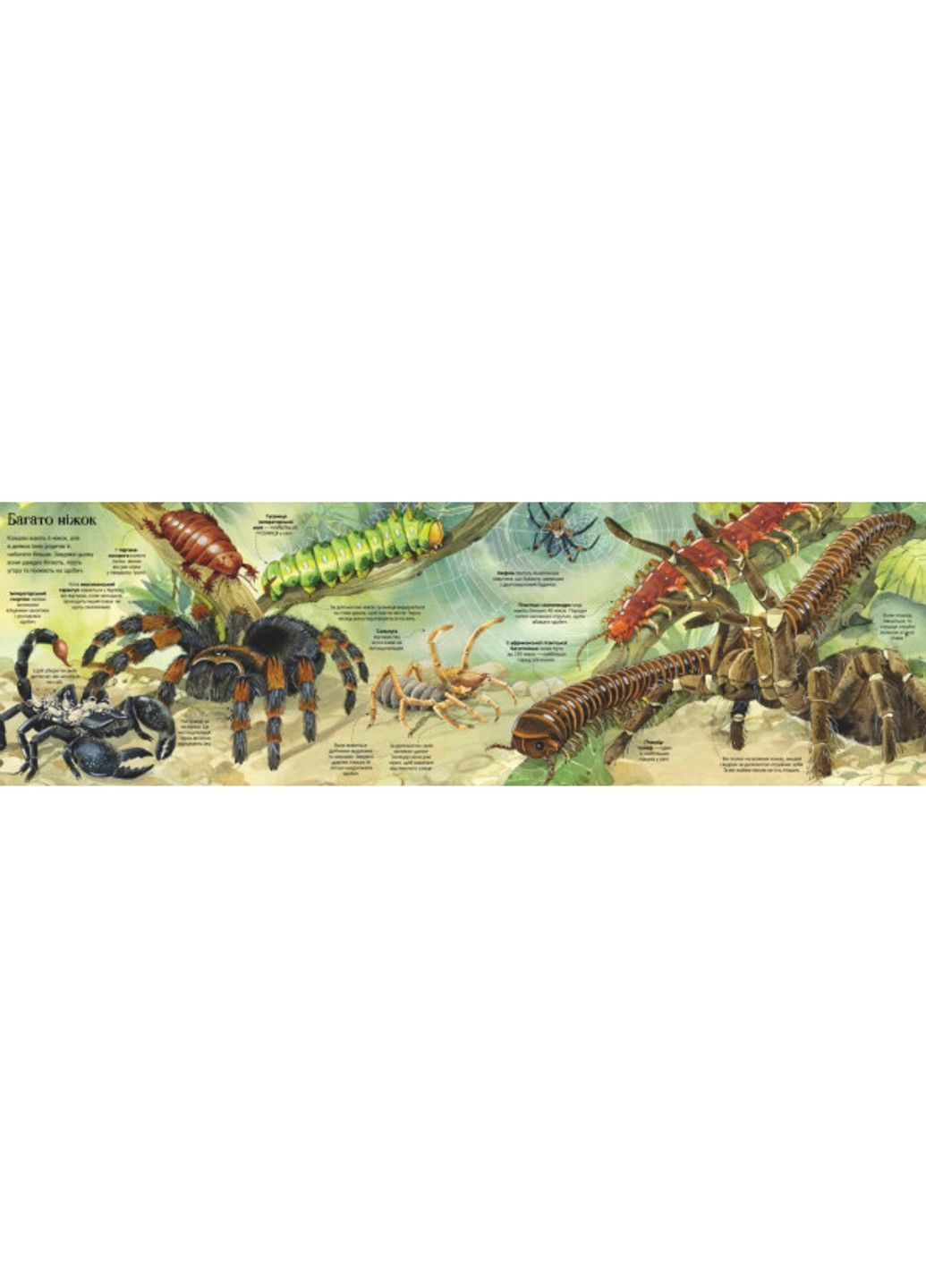 Велика книга комах і не тільки. Боун Е Артбукс (297214286)