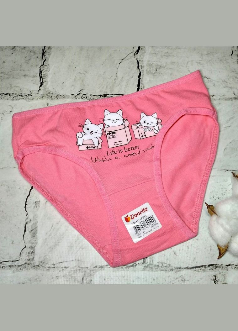Трусики для девочки от 4 до 5 лет Котики донелла трусы детские нижнее белье Donella (327367812)