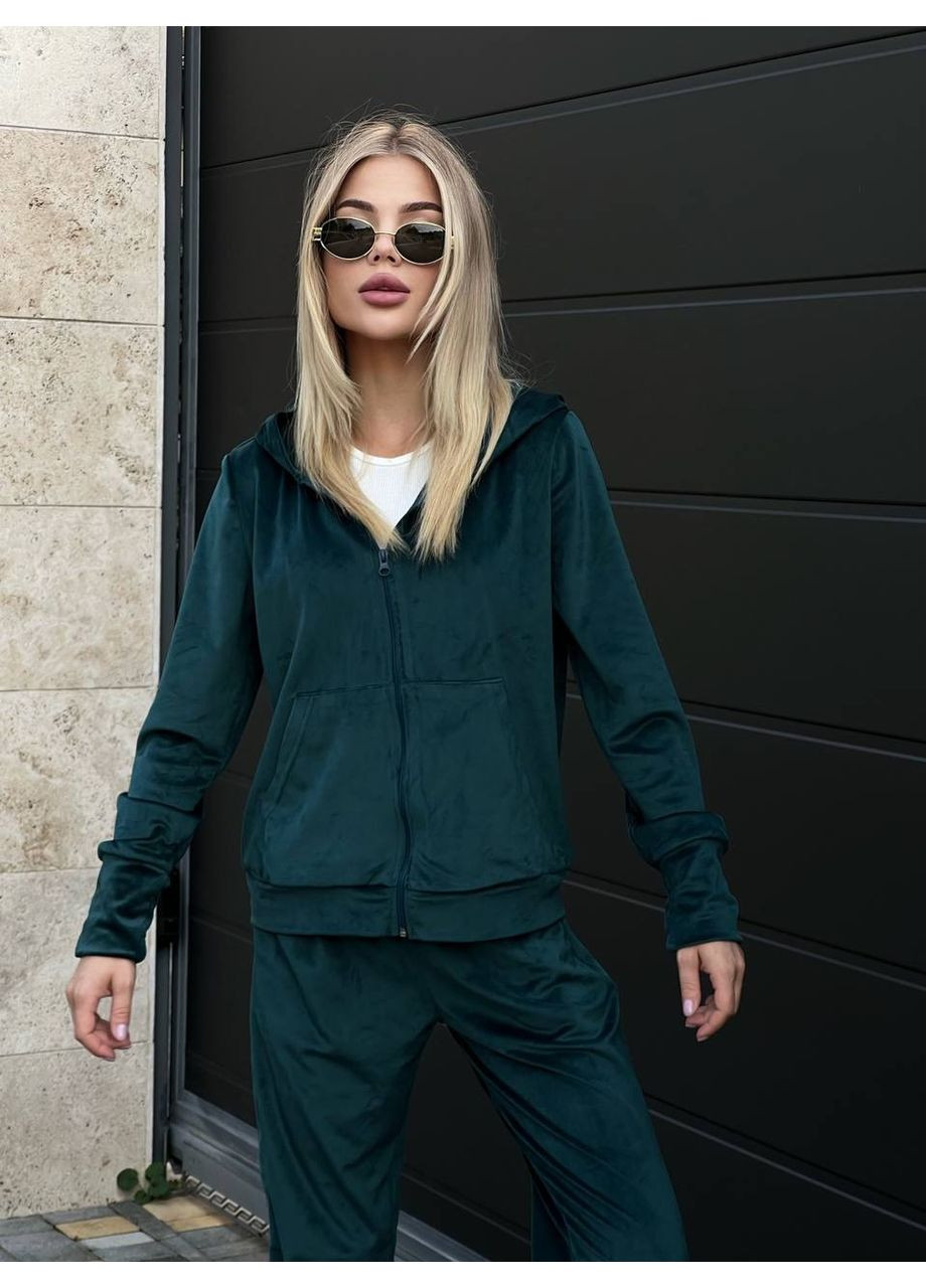 Жіночий велюровий костюм двійка Fashion (361269054)