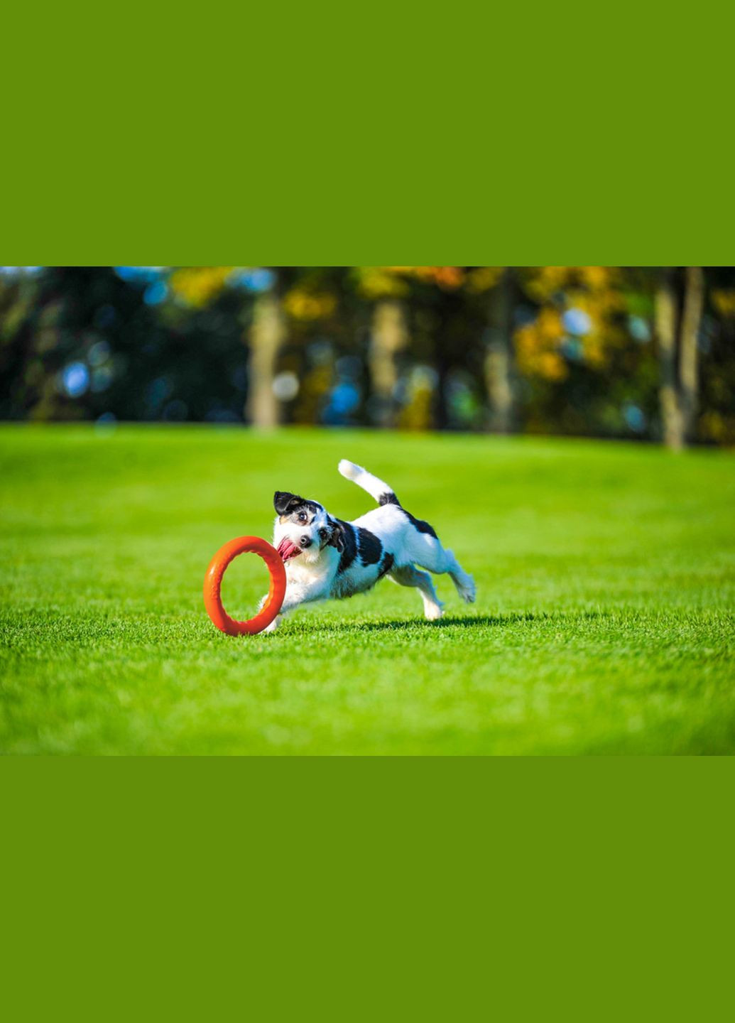 Кільце для апортування 20 д-20 см Жовтогаряче PitchDog (315598989)