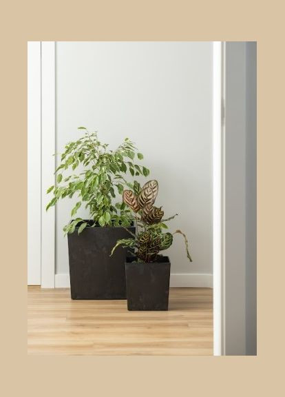 Кашпо 250х250 черный бетон, пластик Lamela Юка (345726225)