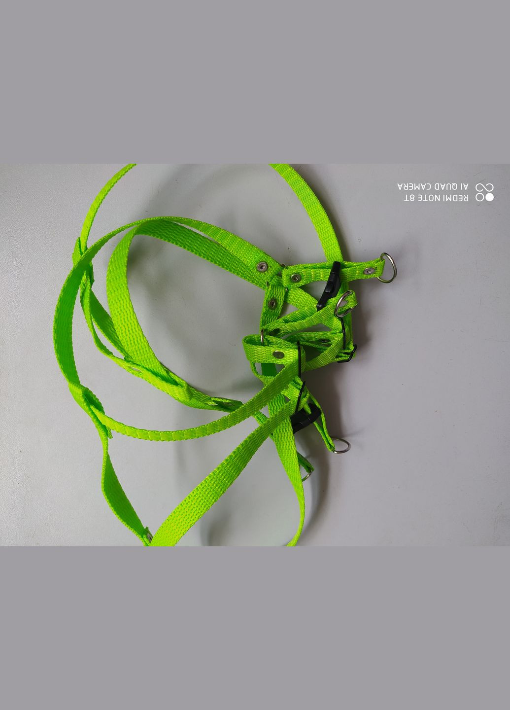 Шлейки для кошек и собак, для кроликов ТМ Happy pets No Brand (320950250)