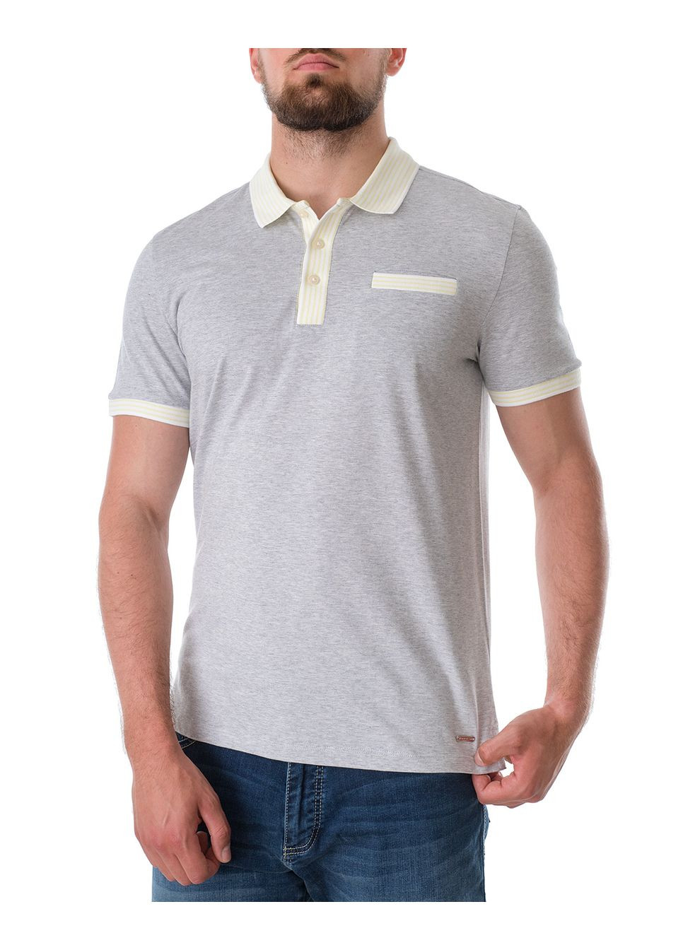 Поло чоловіче Roy Robson (229991450)