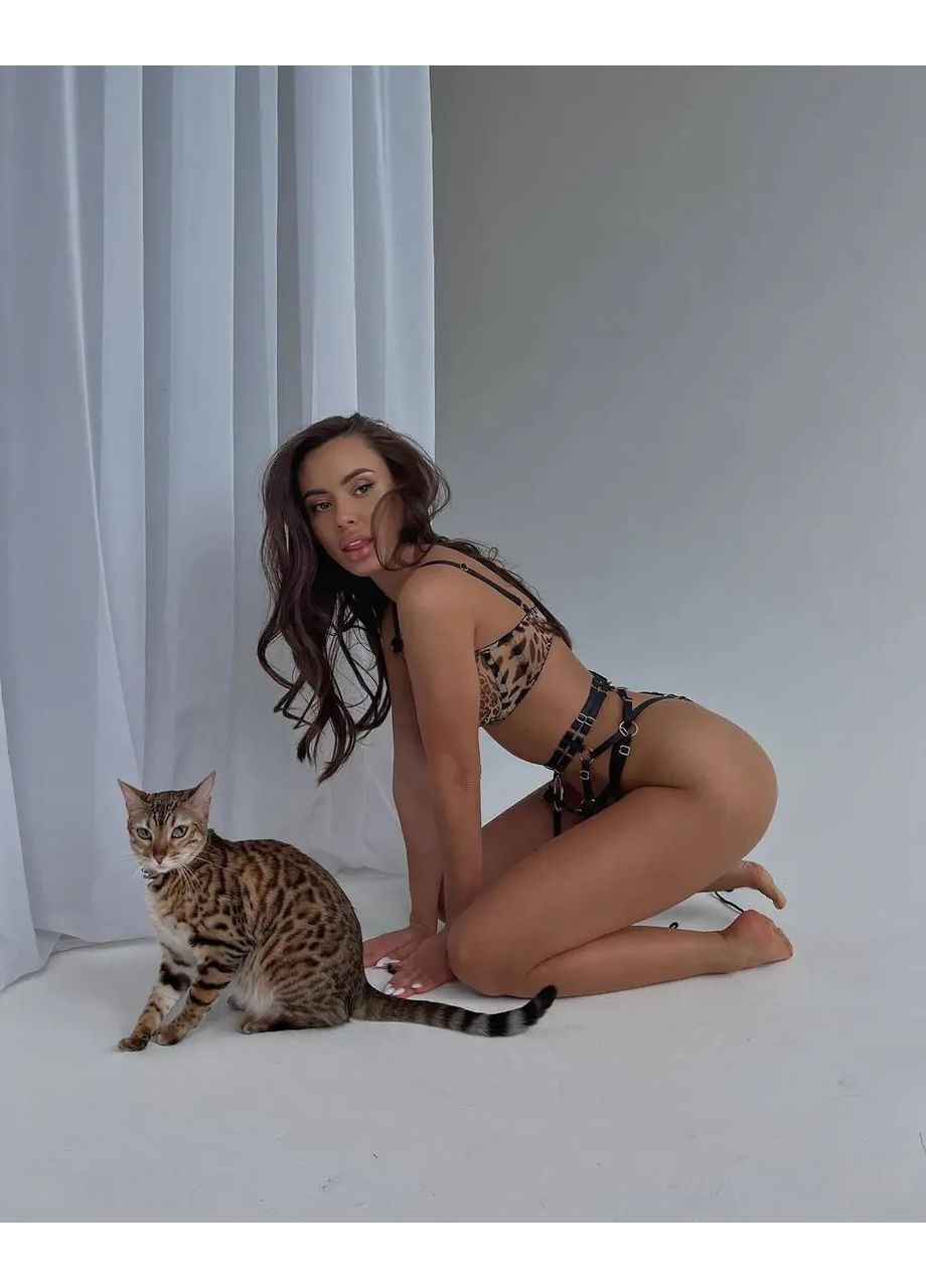 Коричневий демісезонний мереживний комплект із поясом. комплект жіночої білизни мереживний із поясом і гартерами, спокусливий комплект, спідня білизна No Brand