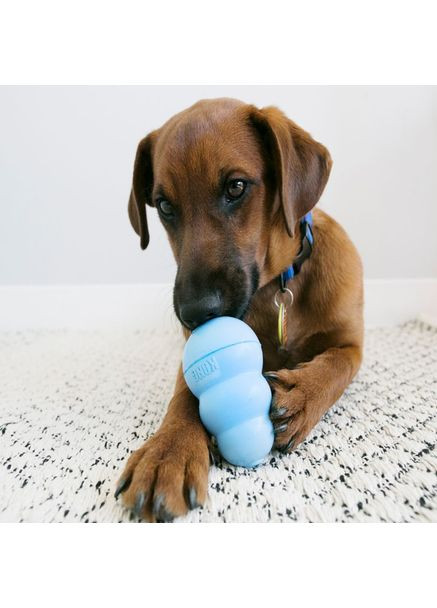 Іграшка для цуценят дрібних порід Puppy XS (035585131450) KONG (355371869)