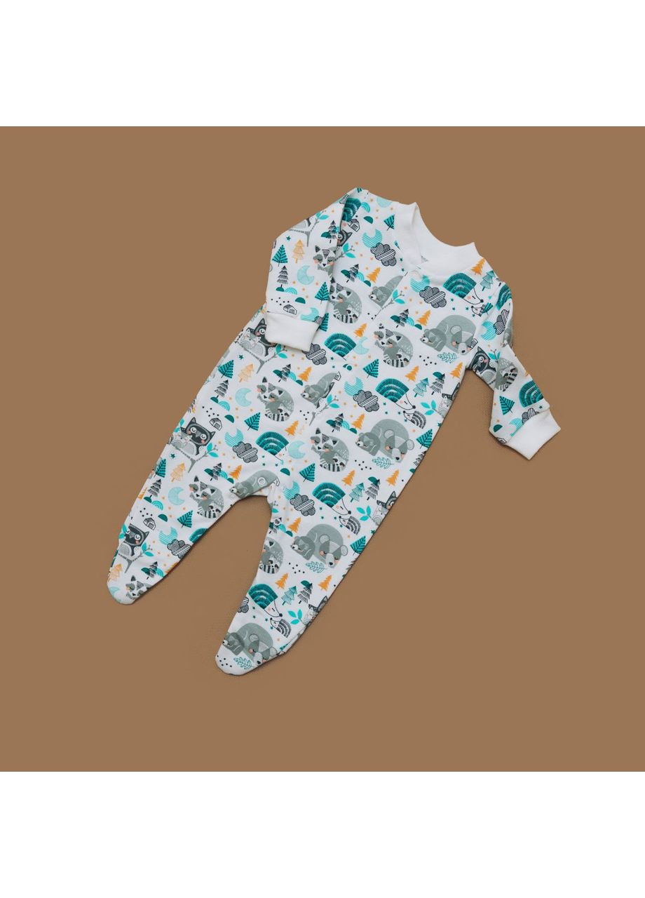 Мужчина с начесом, 100% хлопок, принт Еноты Egoza (351857330)