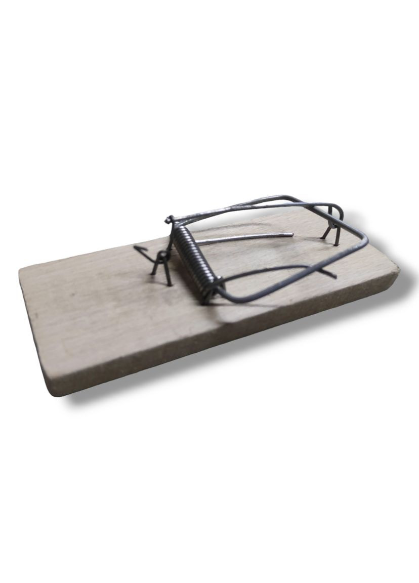 Родентициди Мишоловка механічна велика No Brand (352199518)