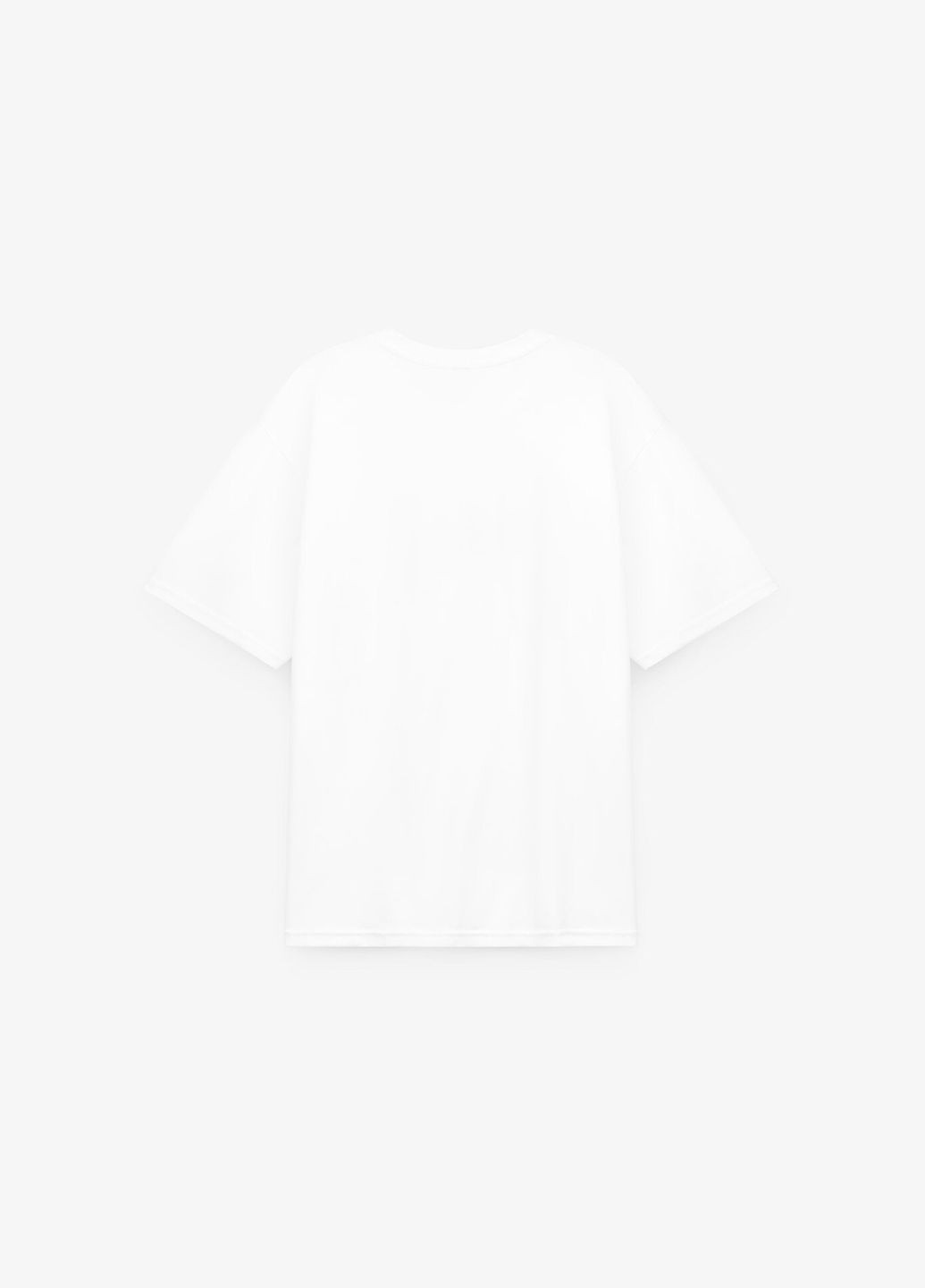 Белая футболка с принтом мужская 4035mp белый shop (2000990989543) Demos