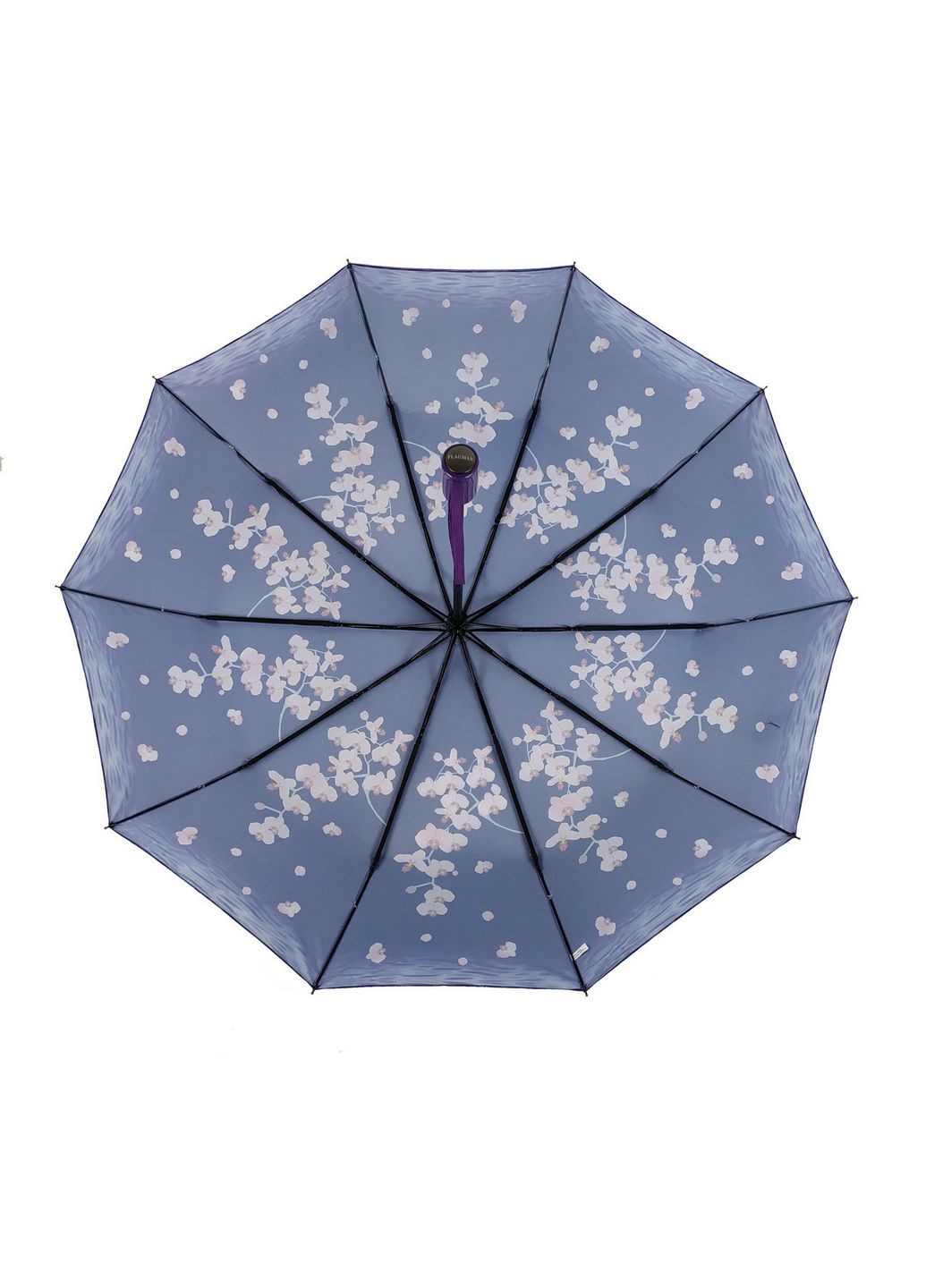 Жіноча напівавтоматична парасолька Flagman (282587583)