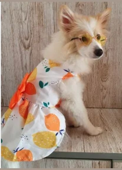 Платье для собак с принтом лимон S No Brand (299840185)