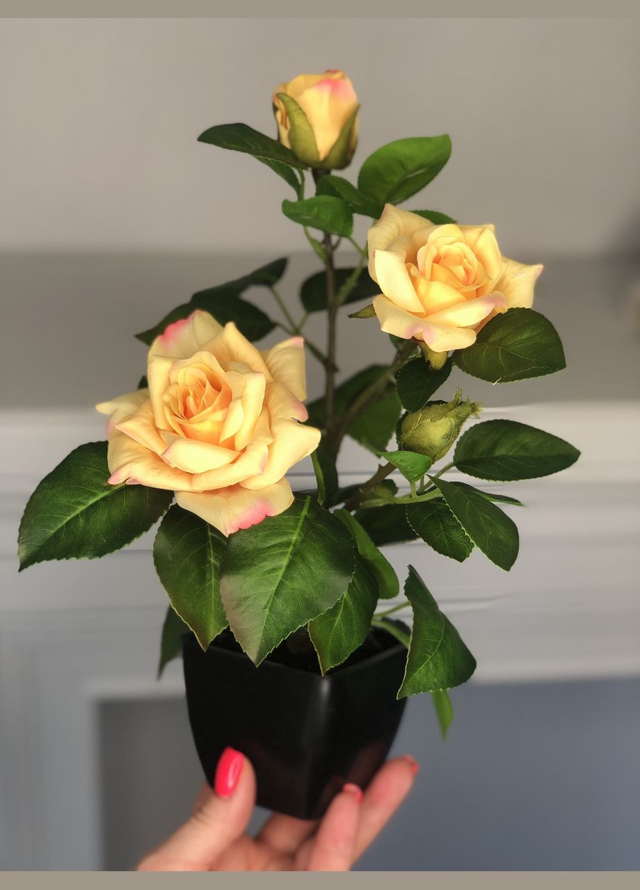 Троянда чайна штучний кущ в горщику 29 см HVOYA (328908629)