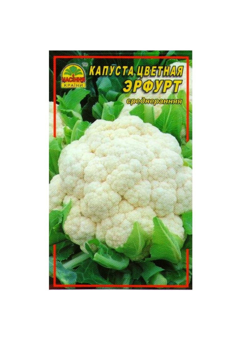 Насіння капусти кольорової Ерфурт 0,5 г Насіння країни (328606919)