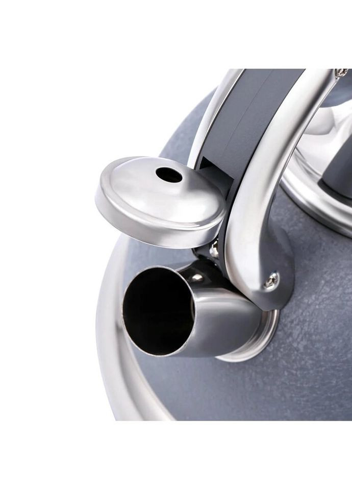 Чайник сосвистком Sieden 26-298-004 2.5 л сірий Krauff (296660958)