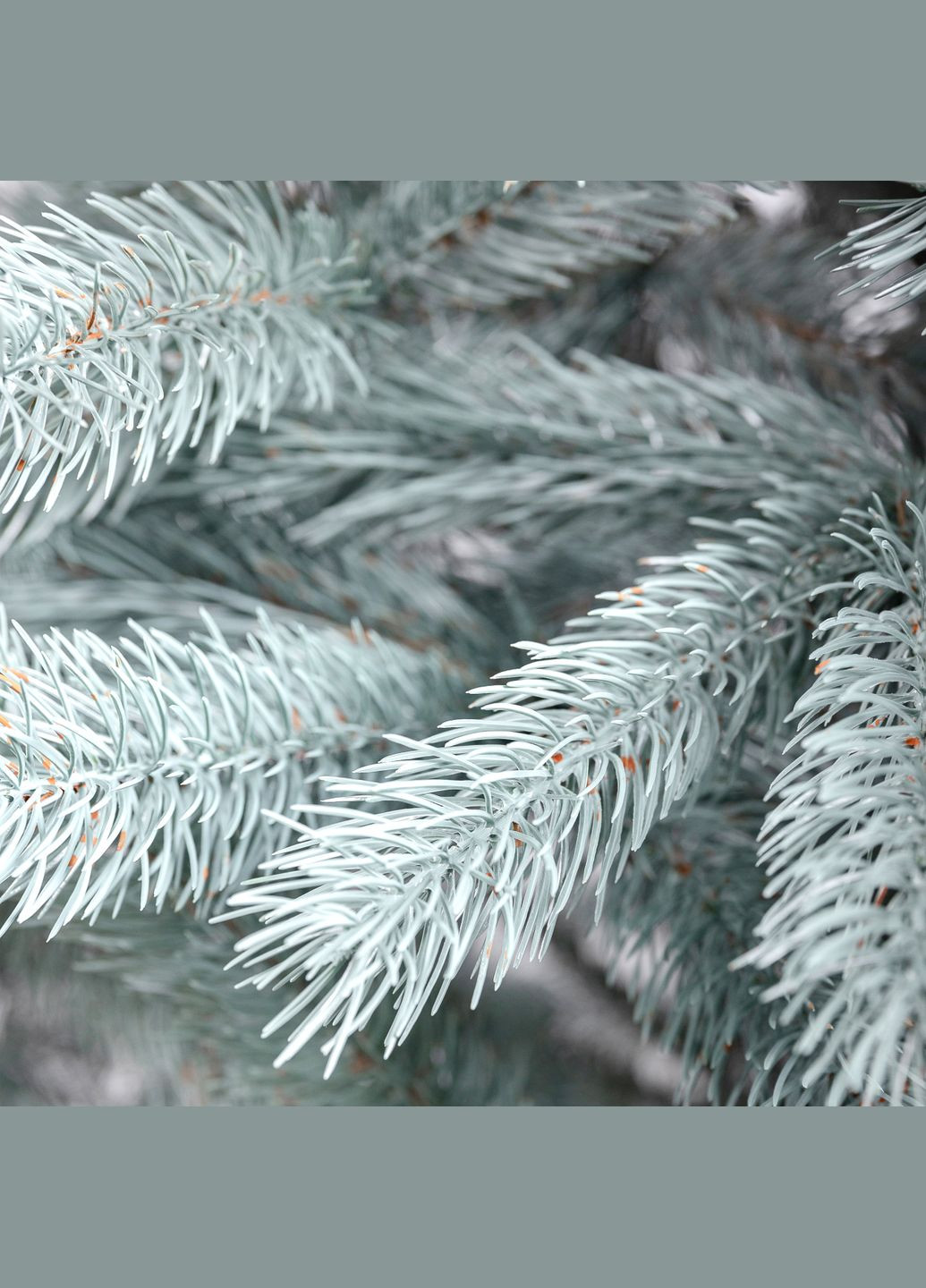 Штучна ялинка лита Говерла 2,3 метри блакитна LUGI (362947033)