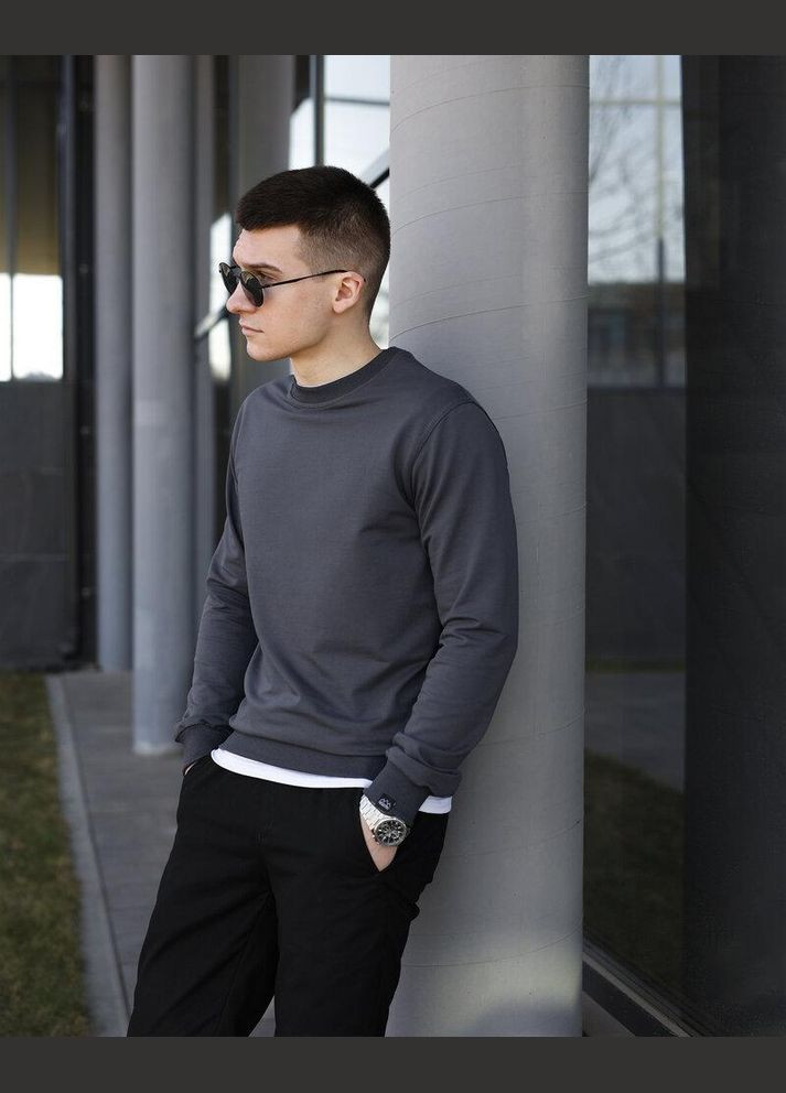 Сірий стильний чоловічий світшот однотонний сірий Freedom однотонний без декору (342741123)