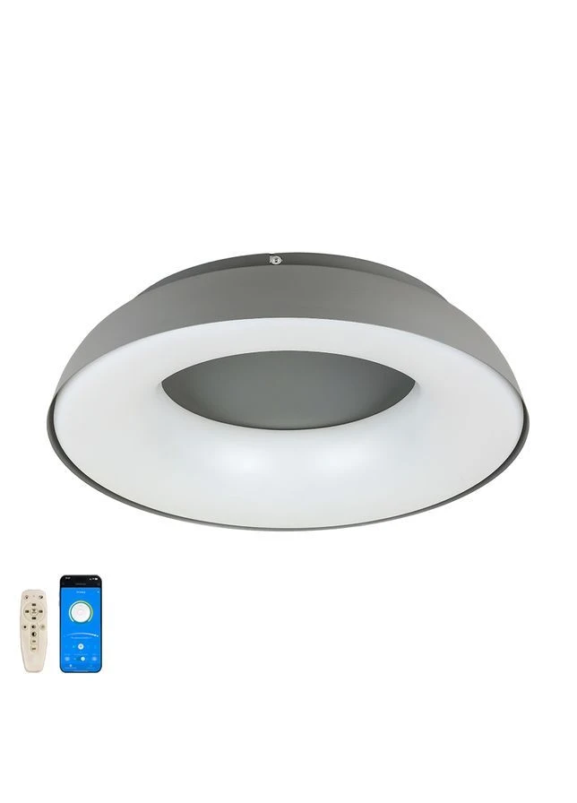 Люстра стельова LED 58 см з пультом керування Сірий (23731) No Brand (397103429)