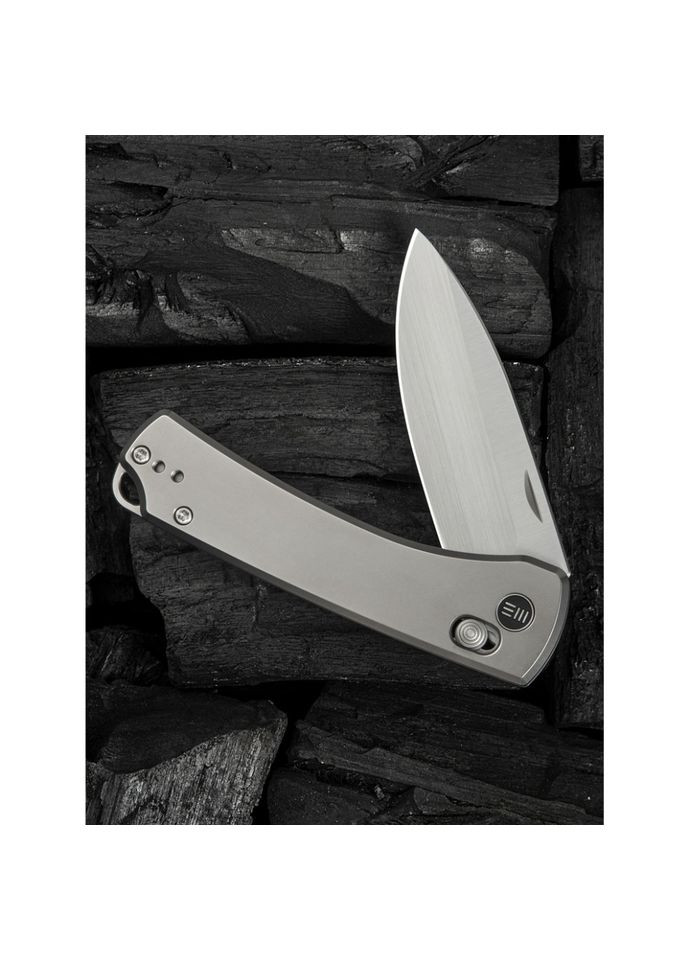 Нож складной Nightblade WE22046-2 Weknife (353502631)