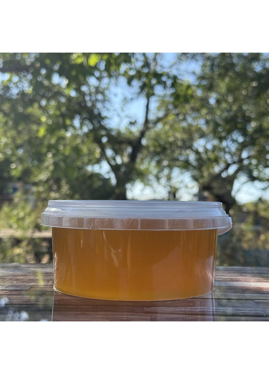 Мед Різнотрав'я світле з кочової пасіки 0,5 л (700 грам) 2025 р МЕД ПОШТОЮ (356103769)