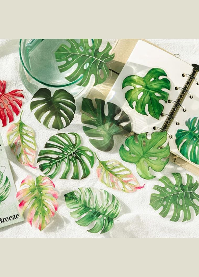 Набір ботанічних наліпок №4 “Листя рослин” 20 шт, для декору, творчості, скрапбукінгу та конспектів з біології No Brand (335426667)