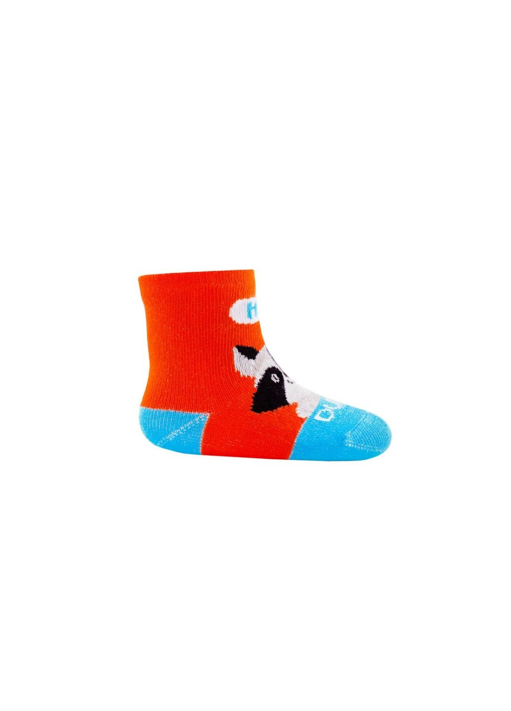 Шкарпетки дитячі Duna 4056 (264656972)