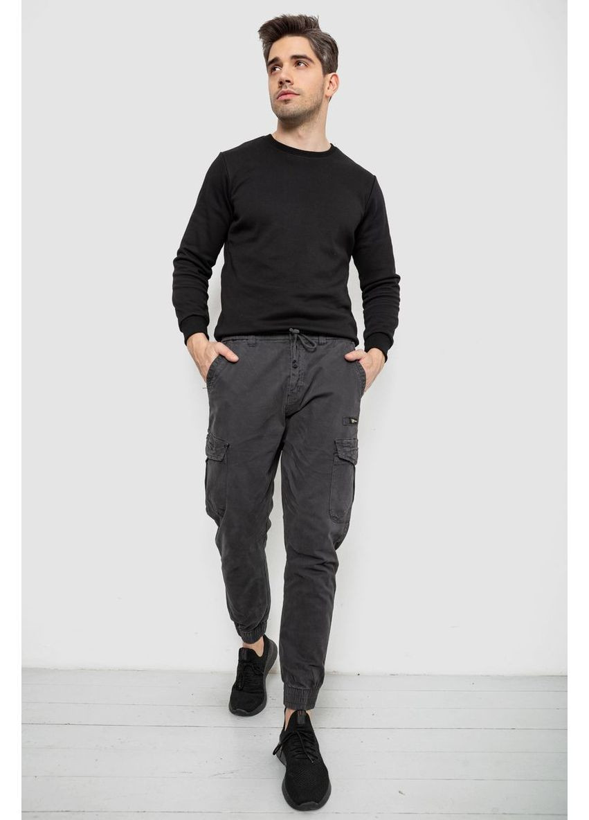 Штани чоловічі однотонні Ager 244R1693 (368610771)