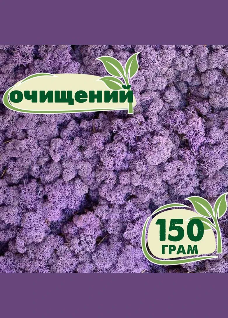 Очищений стабілізований мох ягель Еріка 150 грам Nordic moss (276401186)