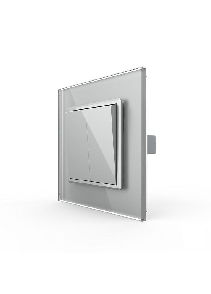 Вимикач універсальний 2-клавішний сірий скло 250В 10А (VL-C7FCMKS-1IP) Livolo (370984943)