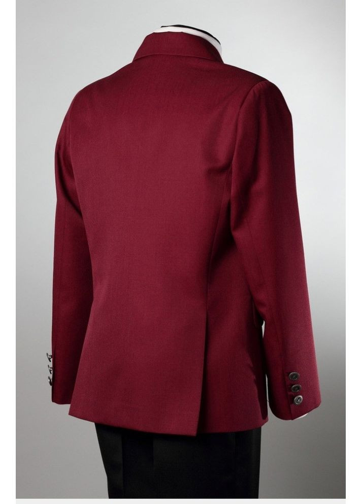 Пиджак Велма 017 (352770009)