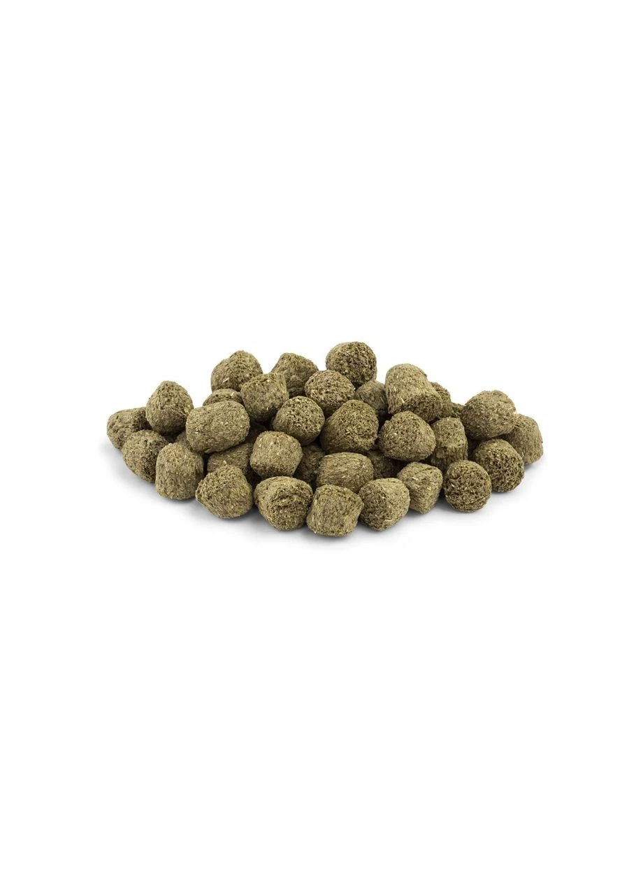 Корм Special для декоративних гризунів та кроликів 600 г 4008239652188 Vitakraft (378181003)