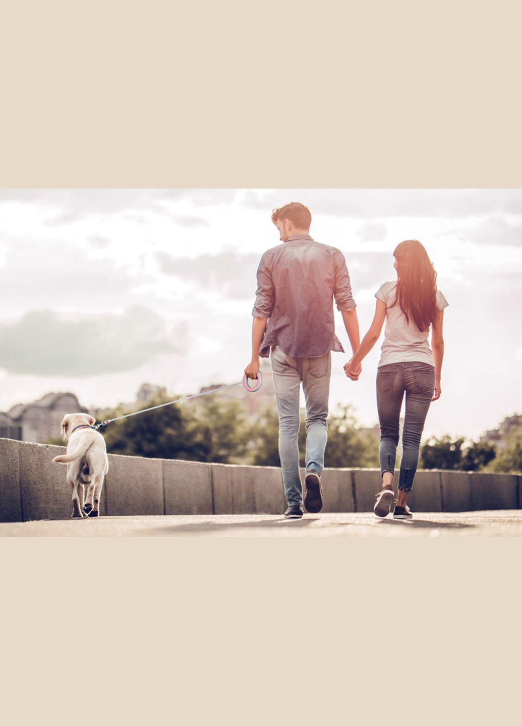 Поводок-рулетка для собак R-leash, круглая, XS-M, до 40 кг, 2,9 м, светоотражающая лента розовый WAUDOG (322124821)