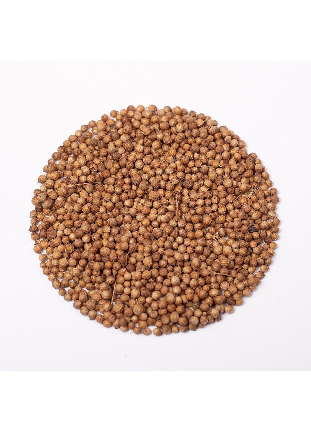 Насіння мікрозелені Green Chief Кінза-Коріандр рання Зелений Шеф (298051340)