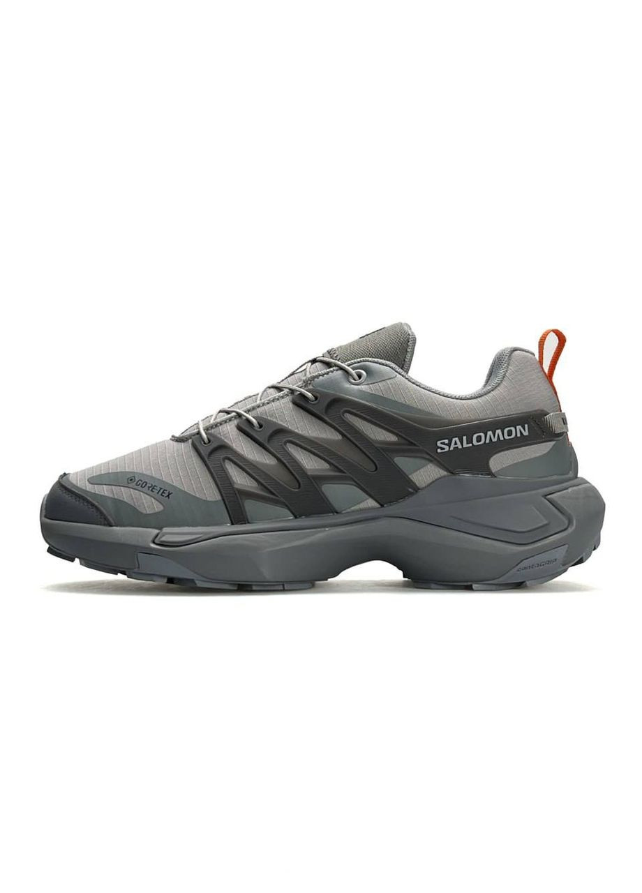 Світло-сірі Осінні кросівки чоловічі salomon light grey No Brand XT PU_RE GTX