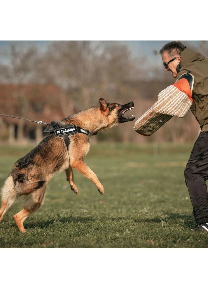 Набір шевронів 4 шт з липучкою In Training для службових собак, кінологів, кінологічна служба, нашивка шеврон патч IDEIA (386250363)