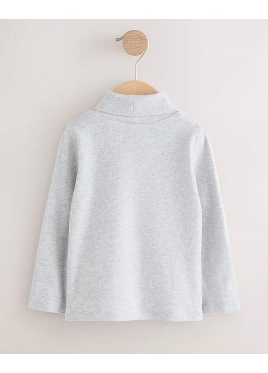 Разноцветный демисезонный лонгслив Next Trend