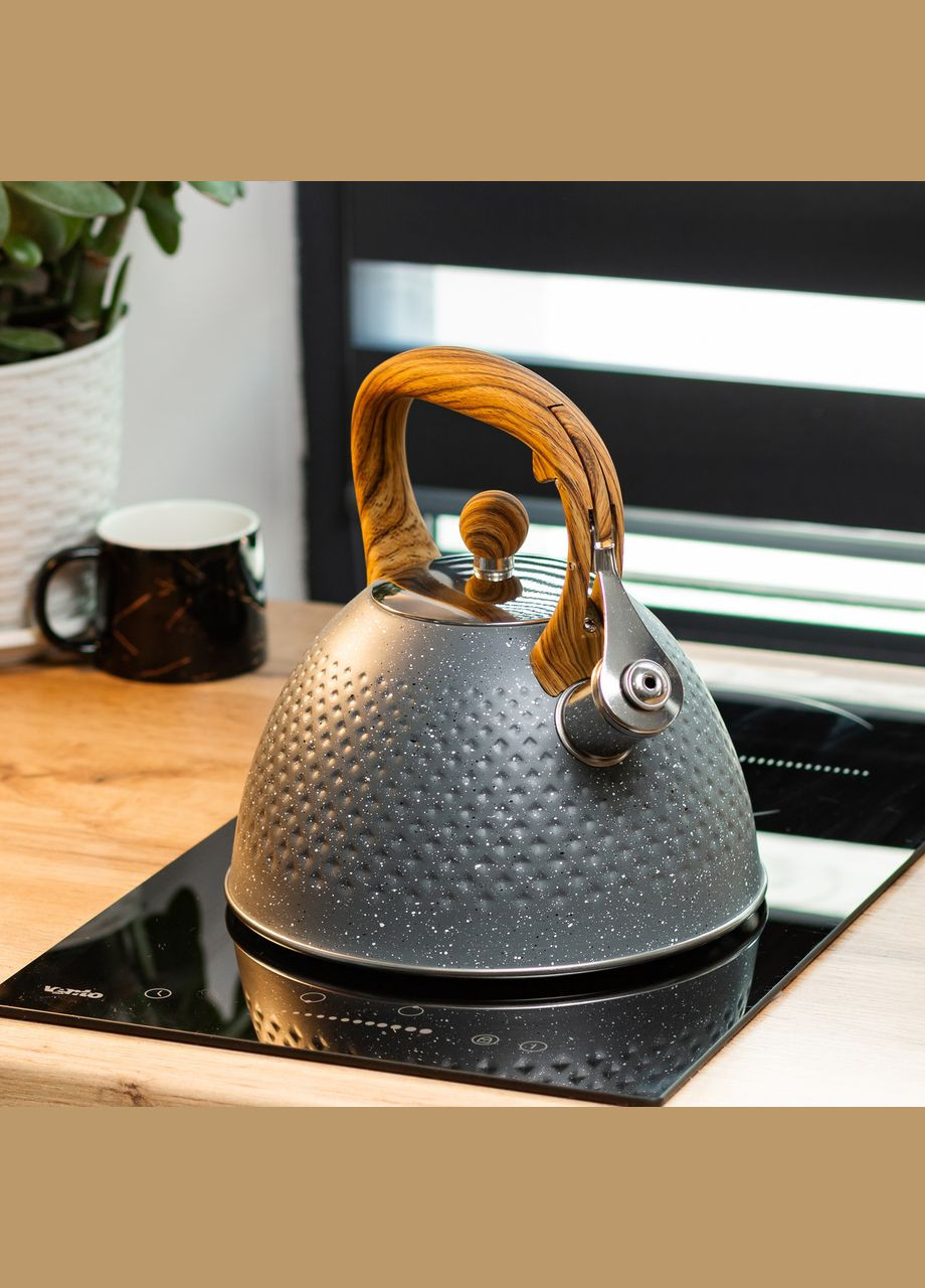 Чайник со свистком Haus Roland из нержавеющей стали, серый Yiwu (322421121)