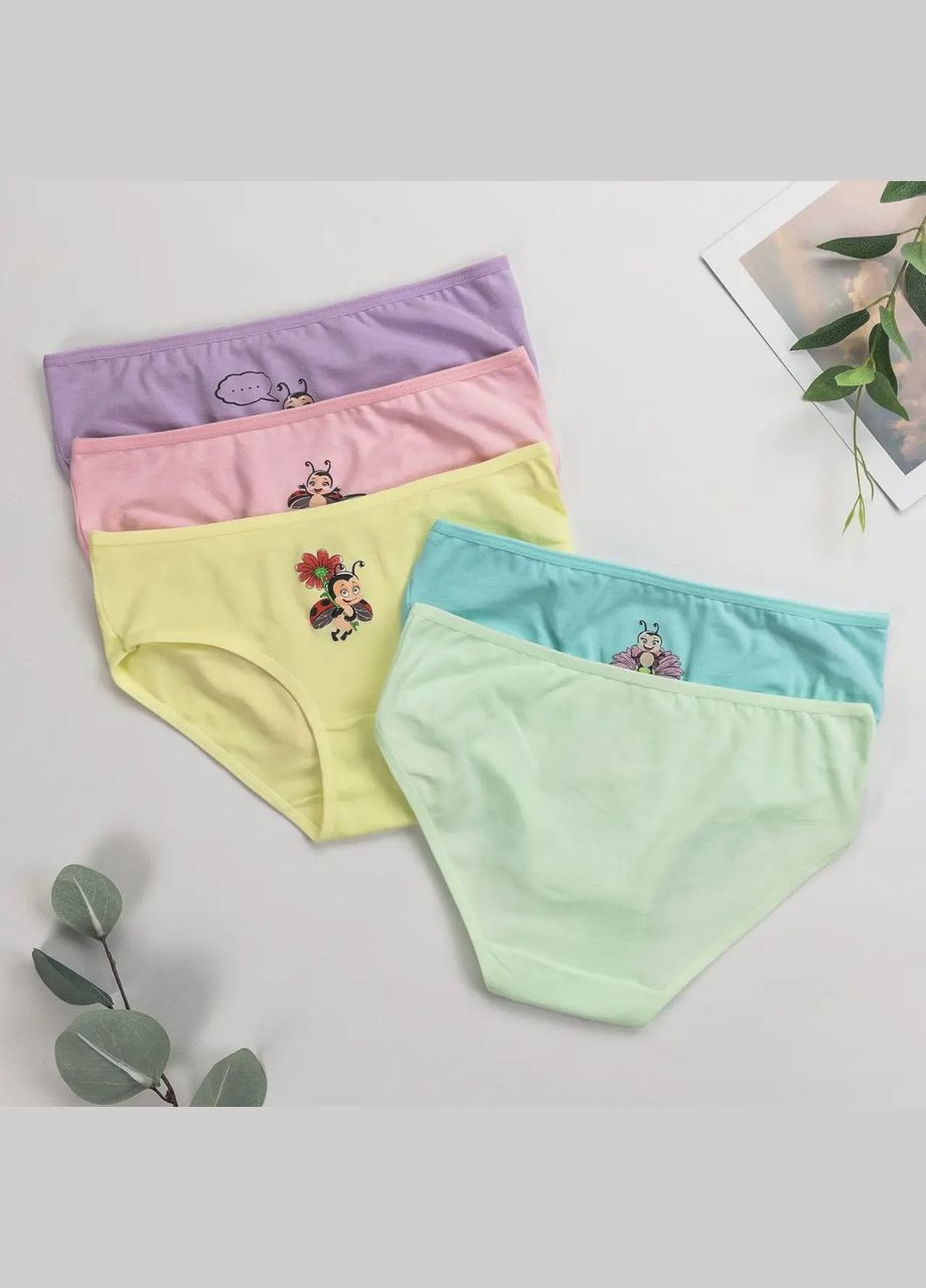 Набор детских трусиков слип для девочек 5 шт Nicoletta Трусики (303829500)