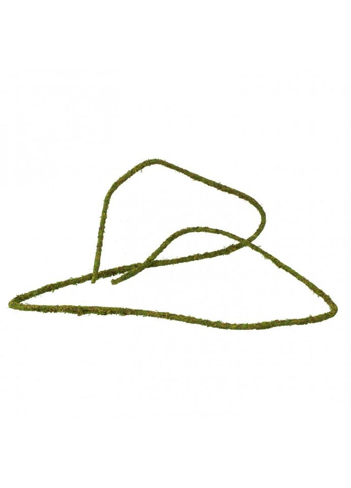 Ліана з натуральним мохом 1см x 2м (RV0210) Repti-Zoo (363452809)