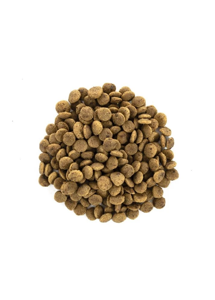 Корм сухой Cat Grain Free Large Power Vitality для взрослых кошек крупных пород с уткой и курицей 7 кг Brit Care (380387889)