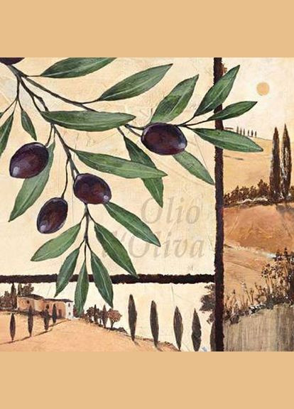 Комплект 12 шт. Декупажні серветки "Оливкова гілка", 33*33 см, 18,5 г/м2, 20 шт, Ambiente 13311765 8712159144413 Rosa (340461129)