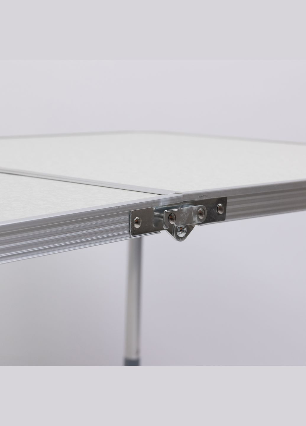 Стіл для пікніка розкладний зі стільцями LUGI 8812-4 120х60х55 см No Brand (340820634)