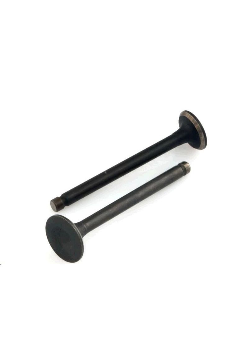 Клапани (пара, голі) 4T GY6 60 (TM) Evo (370185141)