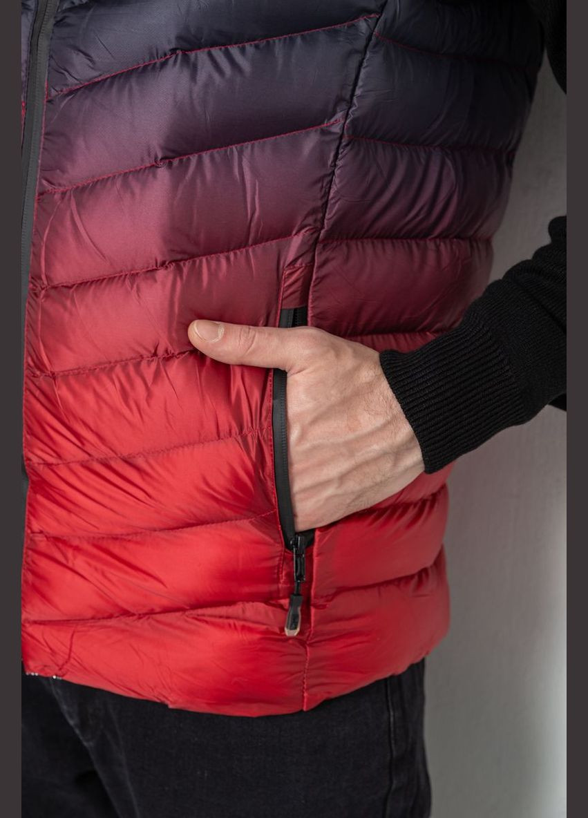 Жилетка чоловіча демісезонна Sport Line Жилет (320220577)