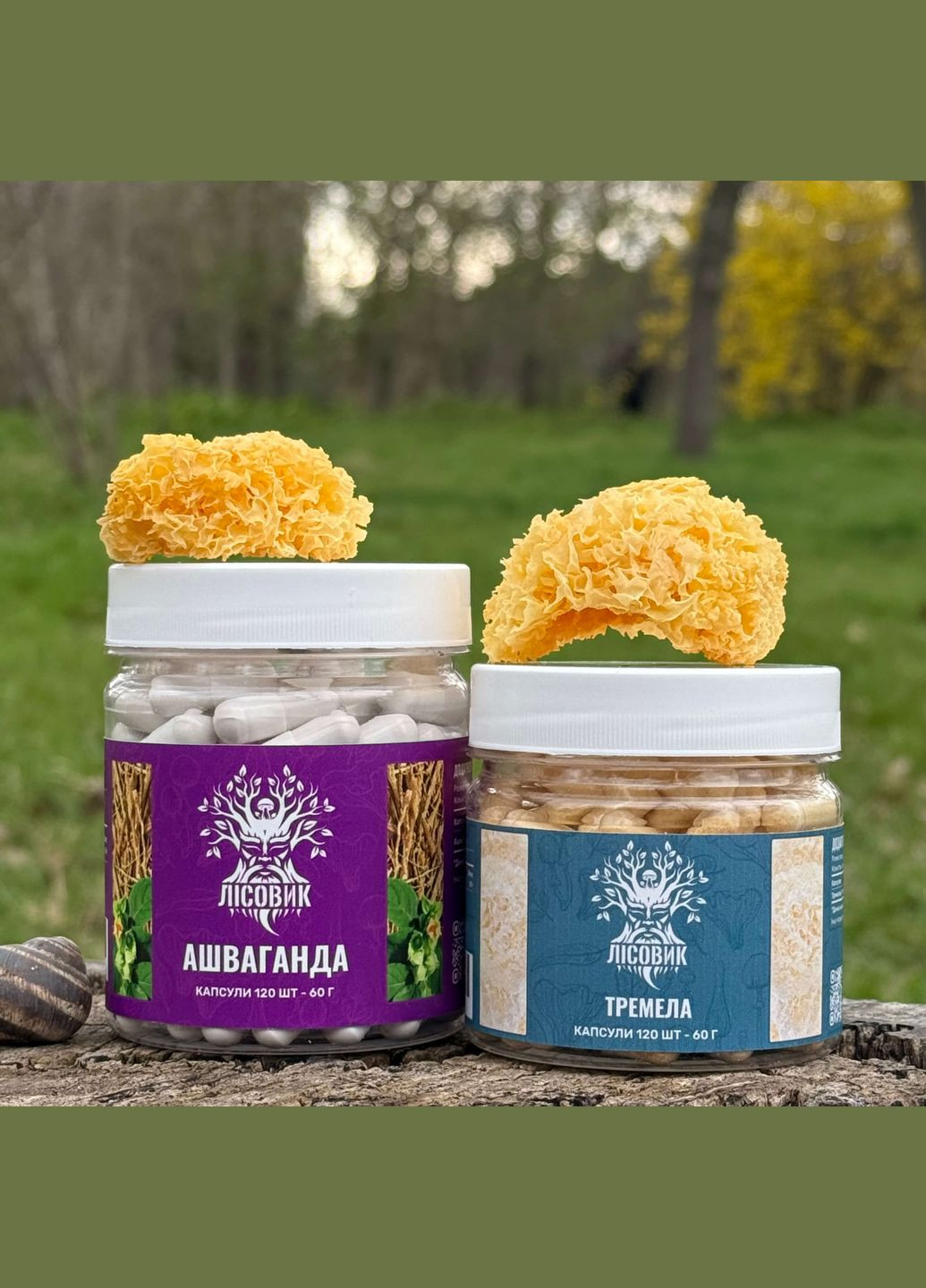 Курс Крепкий сон: Ашваганда и Тремела (2 месяца) Лісовик (334292869)