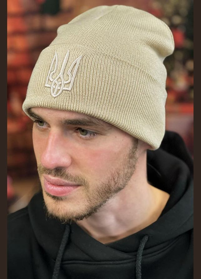 Мужская шапка Тризуб Braxton (324270907)