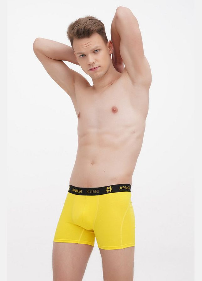 Мужские трусы шорты Apriori Вільні AV-000002 yellow (296664050)