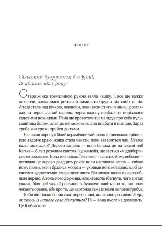 Книга Последняя камелия Джио Сара (9789669421203) Виват (316124358)