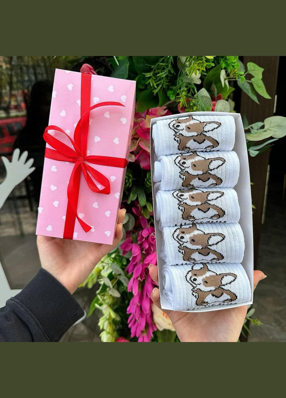 Комбіновані набір жіночих шкарпеток 36-41 5 пар у подарунковій коробці Vakko (308683653)